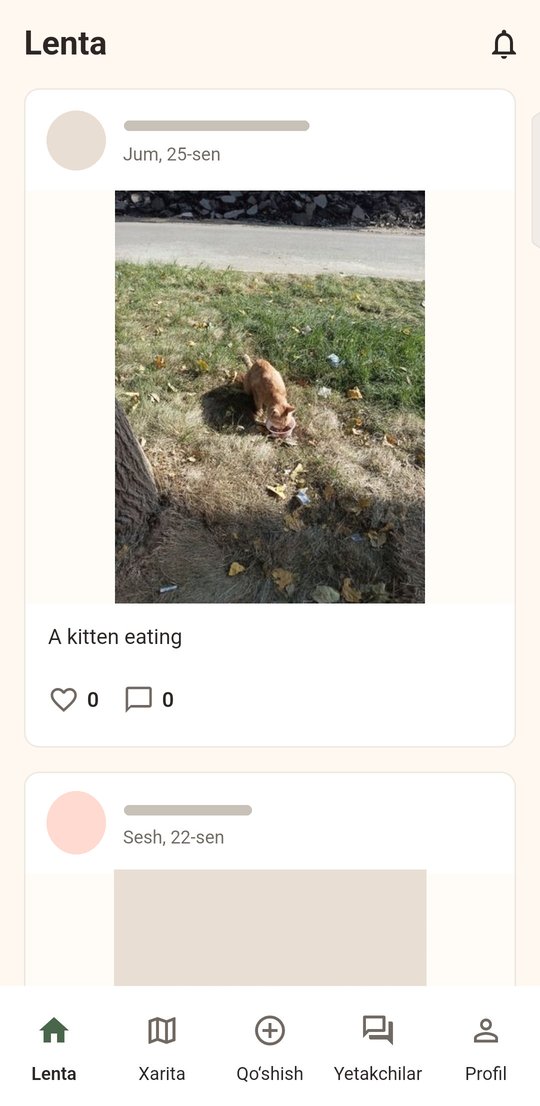 Mushukistan feed with a kitten photograph and post interactions; identities concealed